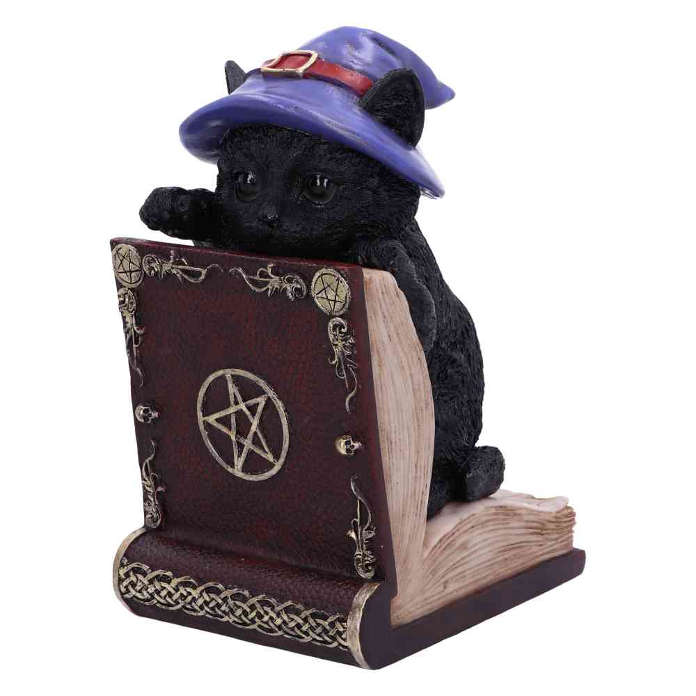 Nemesis Now - Peek-a-boo 20cm Serre-livres - Multicolore